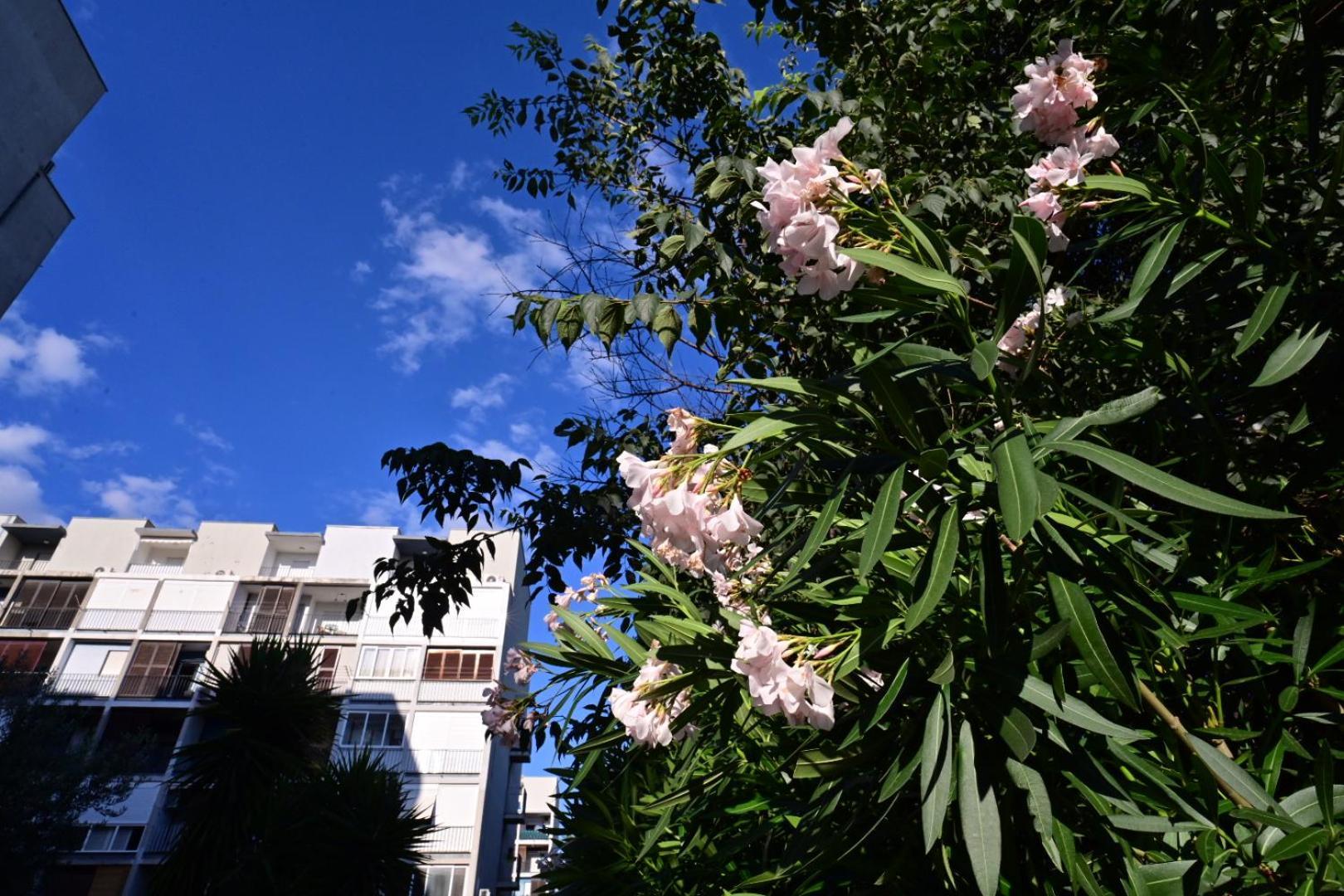 Apartment Paula Split Exterior foto